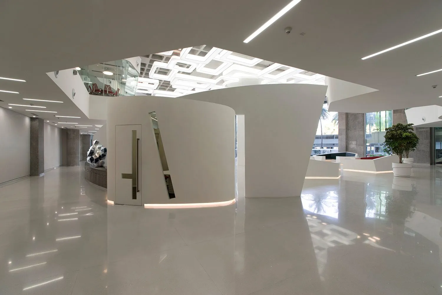 Reflected Topography: Reception